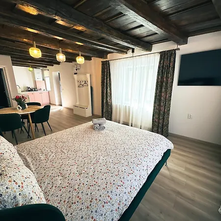 House Four Apartment Sighisoara
